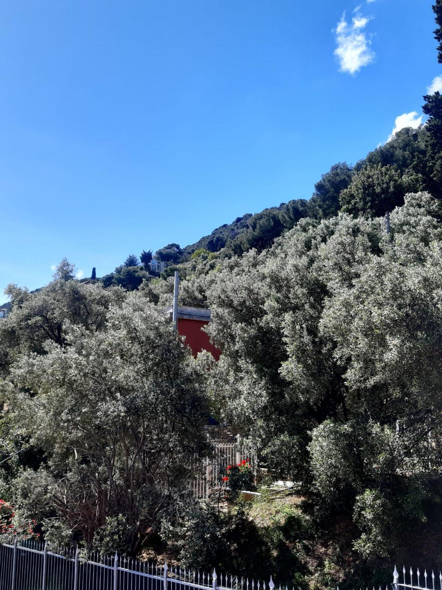 Villa Spectacular Sea View - 3 Minutes Walk From The Sea Laigueglia Exterior foto